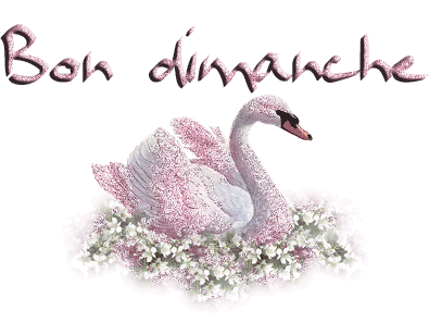 Bon dimanche à tous
